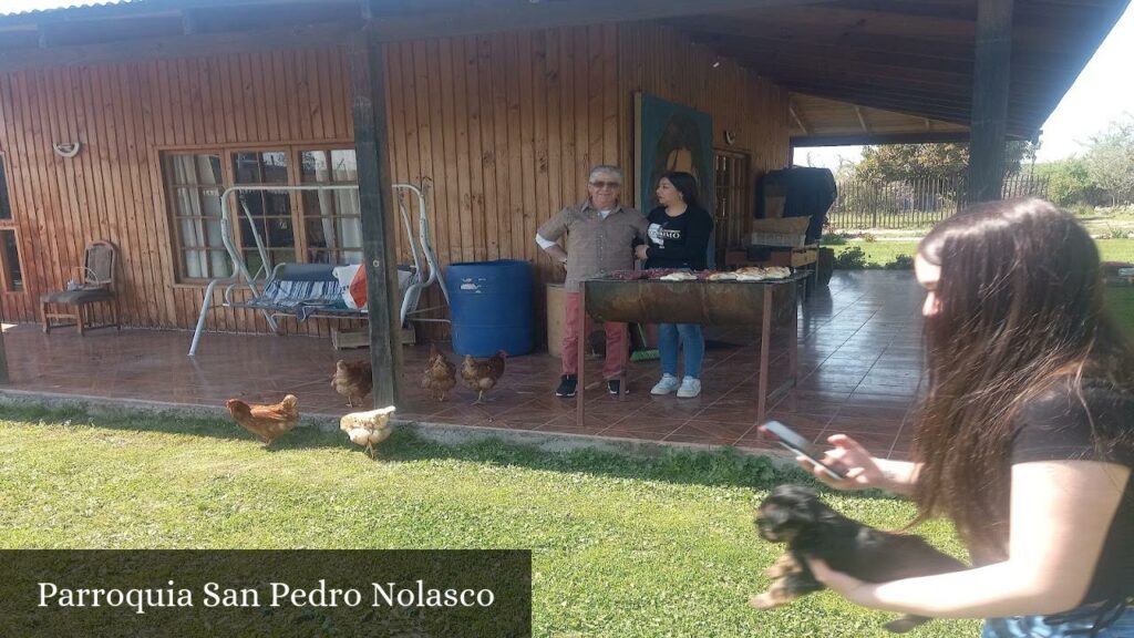 Parroquia San Pedro Nolasco - Puente Alto (Región de Santiago)